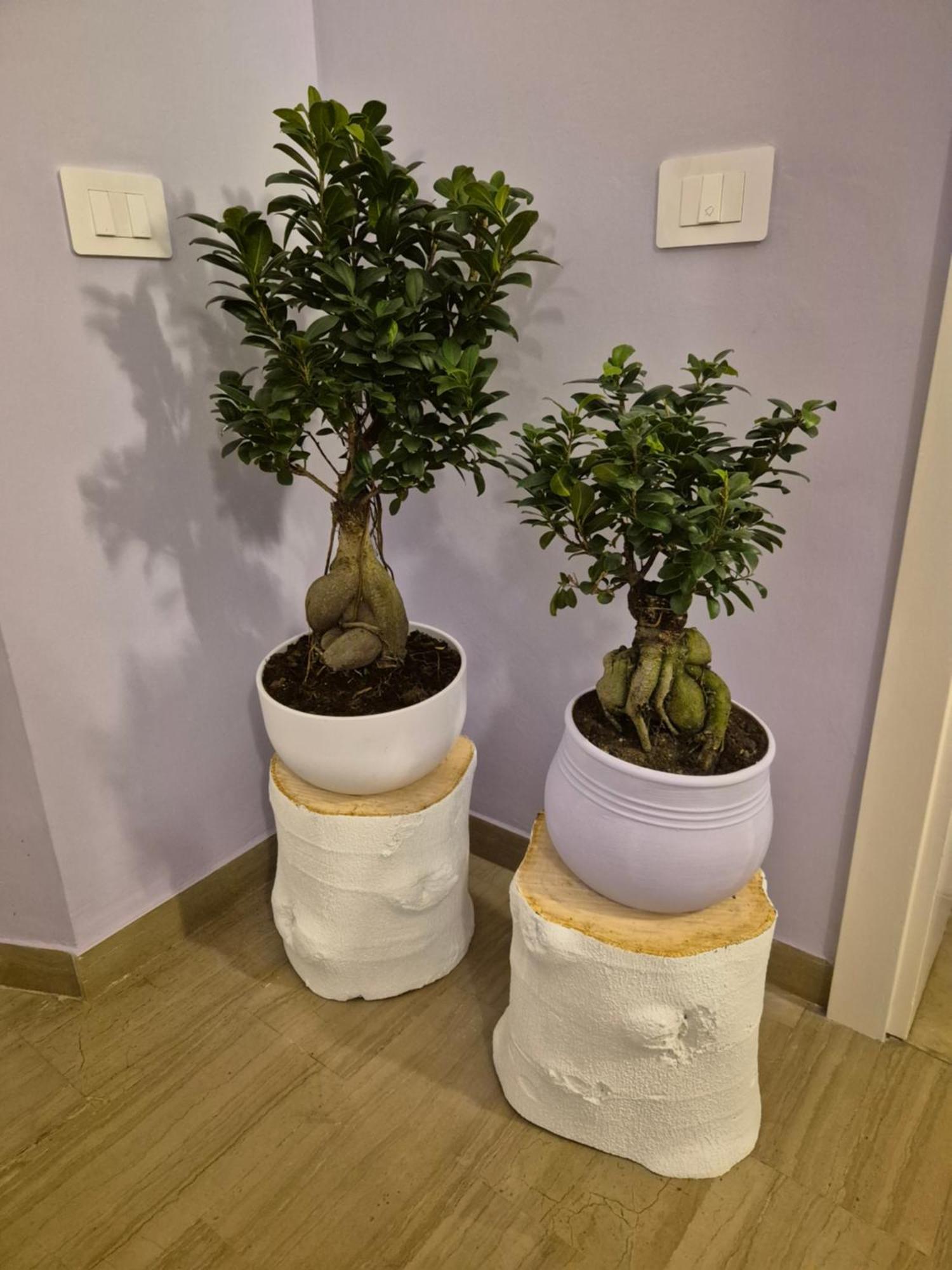 Il Sogno Degli Angeli Apartment Santa Maria Degli Angeli  Bagian luar foto